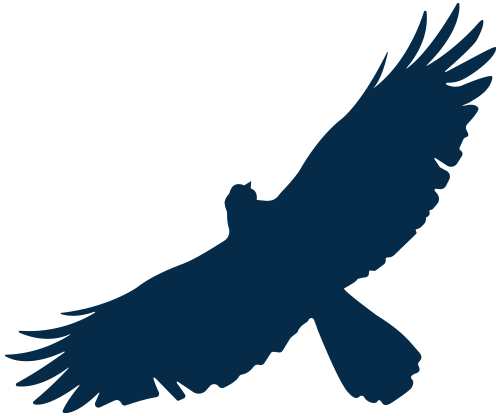 Teach Uplifted Eagle