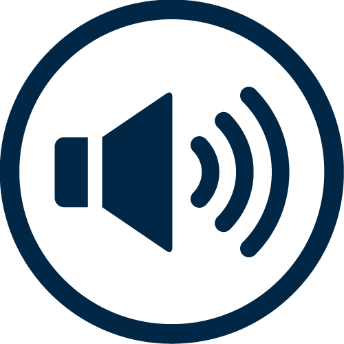 Sound Icon